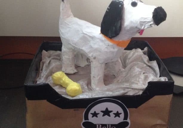 Besnoeiing hoorbaar marge Surprise: hoe maak je een honden Sinterklaas suprise van papier maché