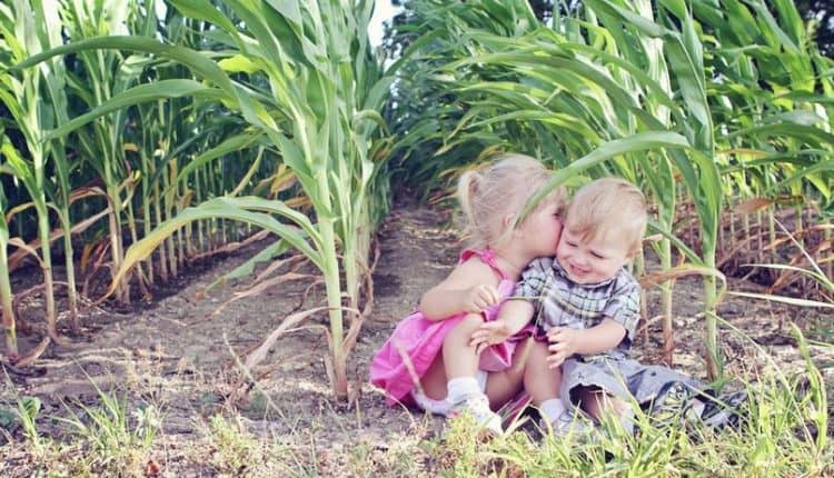 Inlevingsvermogen kinderen