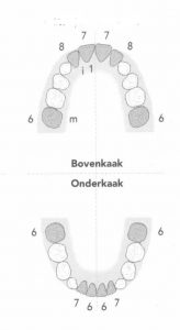 Melkgebit wisselen