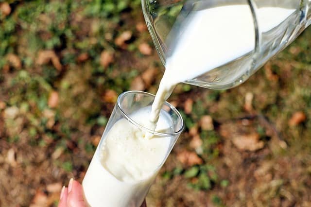 Koemelk glas melk