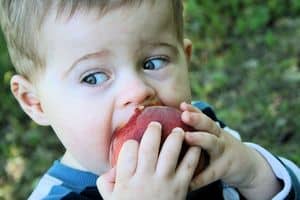 Peuter eet nectarine
