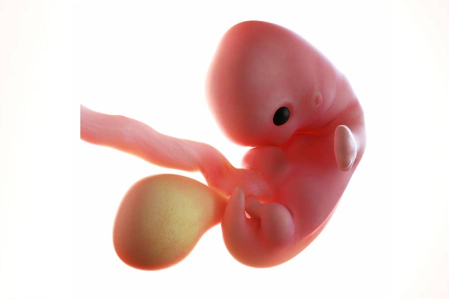 7 weken zwanger baby en moeder
