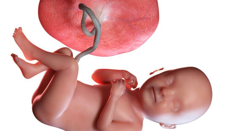 Baby bij 33 weken zwangerschap