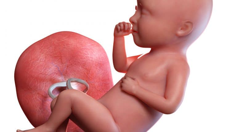 Baby in buik bij 34 weken zwangerschap