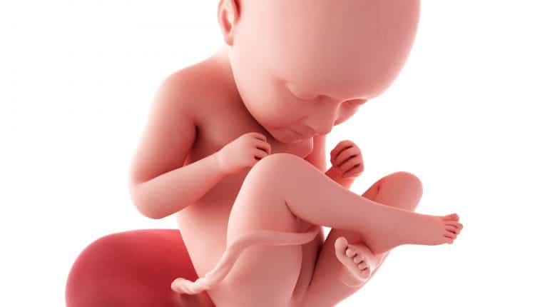 baby 35 weken zwangerschap