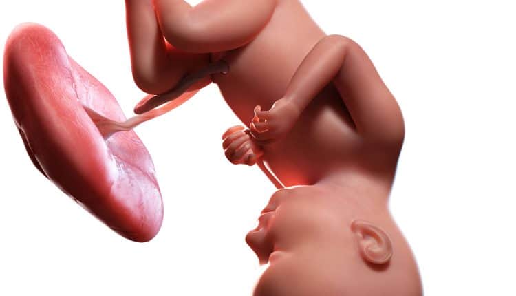 De baby bij 37 weken zwangerschap
