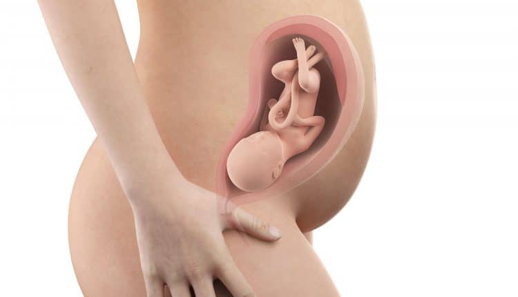 38 weken zwanger vrouw baarmoeder buik Hoe ligt de baby?