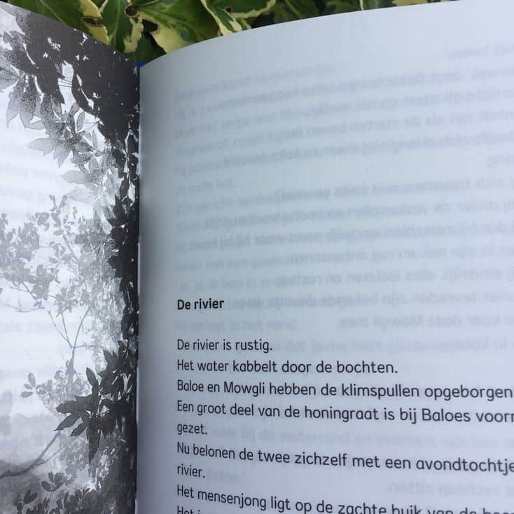Een bladzijde uit JungleBook Samen sta je sterk