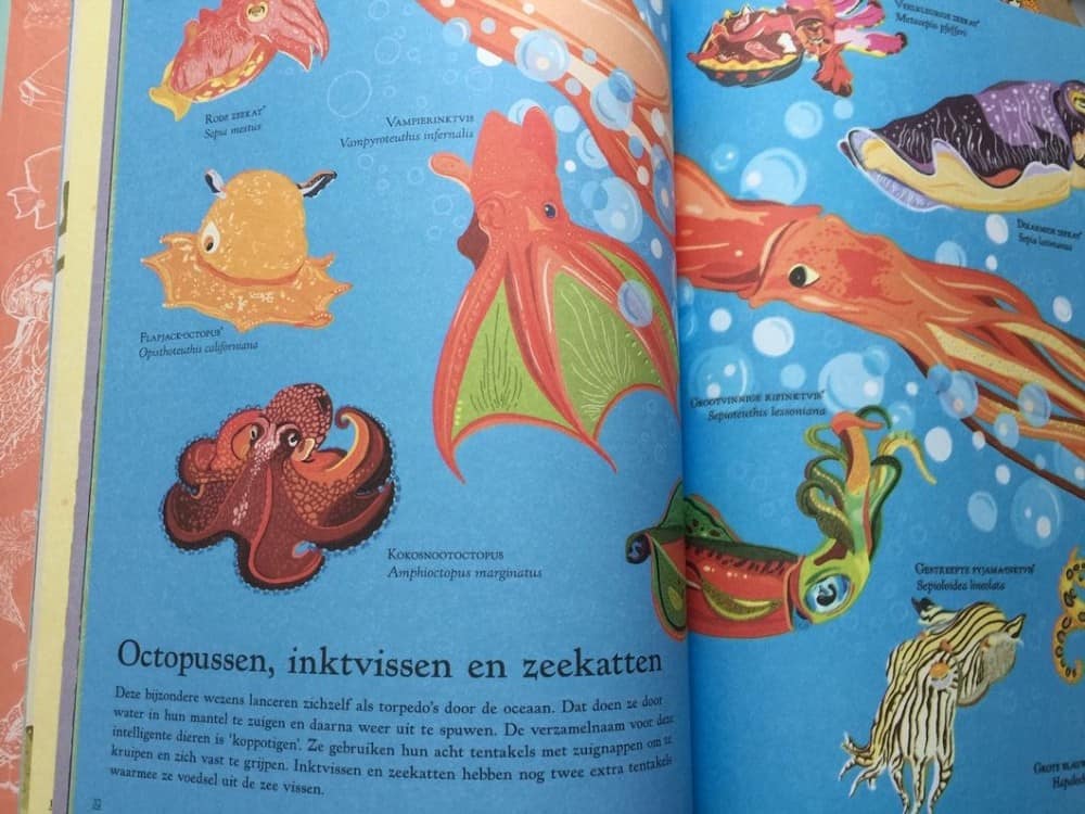 Ontdek de oceaan kinderboek