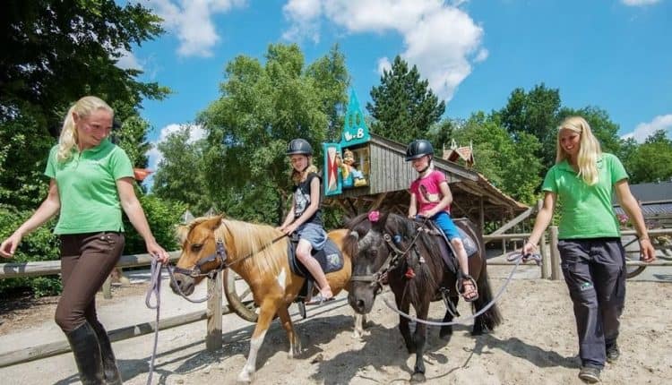 Land van Bartje pony rijden