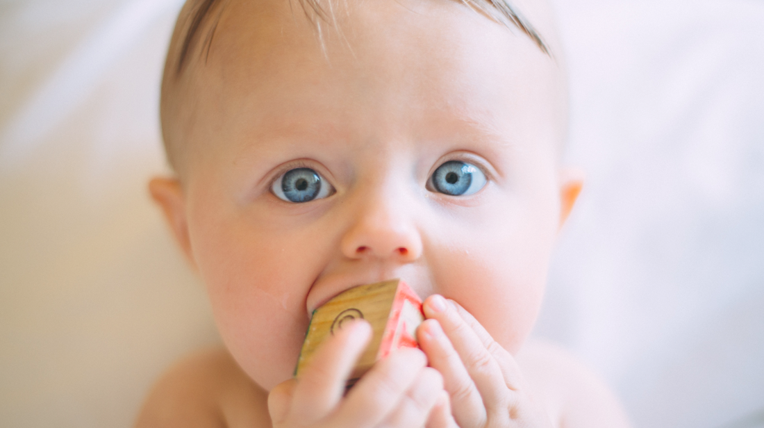 Het Eerste Tandje En Meer Over Het Doorkomende Melkgebit