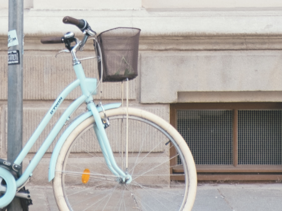 electrische moederfiets