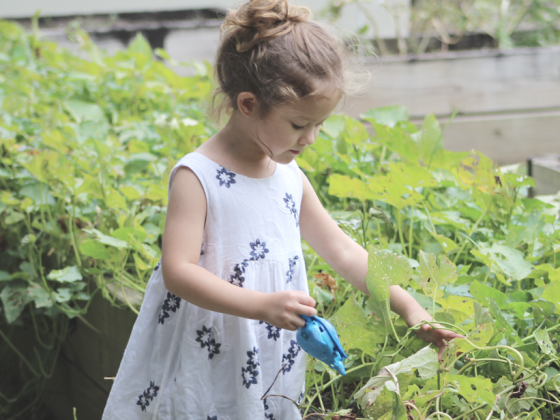 tuinieren met kinderen