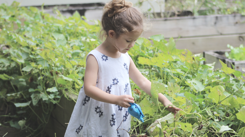 tuinieren met kinderen