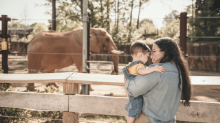 naar de dierentuin