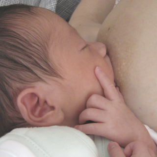 colostrum